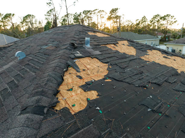 Best Storm Damage Roof Repair  in Temple, TX