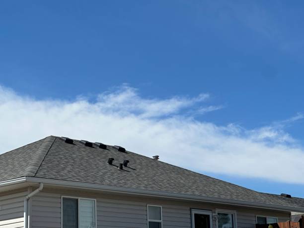 Best Roof Maintenance and Cleaning  in Temple, TX